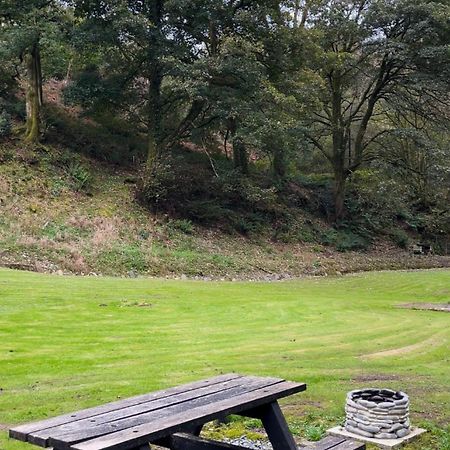 Bear Cottage, Tyn Y Cwm Eglwys-Fach Zewnętrze zdjęcie