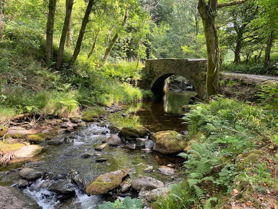 Bear Cottage, Tyn Y Cwm Eglwys-Fach Zewnętrze zdjęcie
