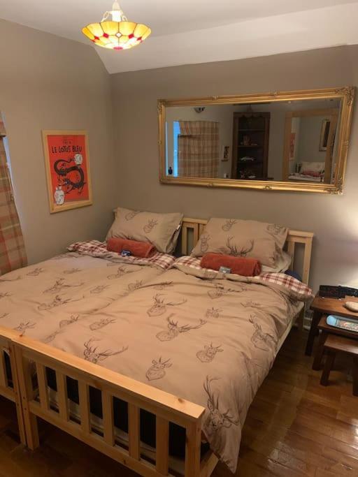 Bear Cottage, Tyn Y Cwm Eglwys-Fach Zewnętrze zdjęcie